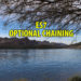 ES7 Optional Chaining